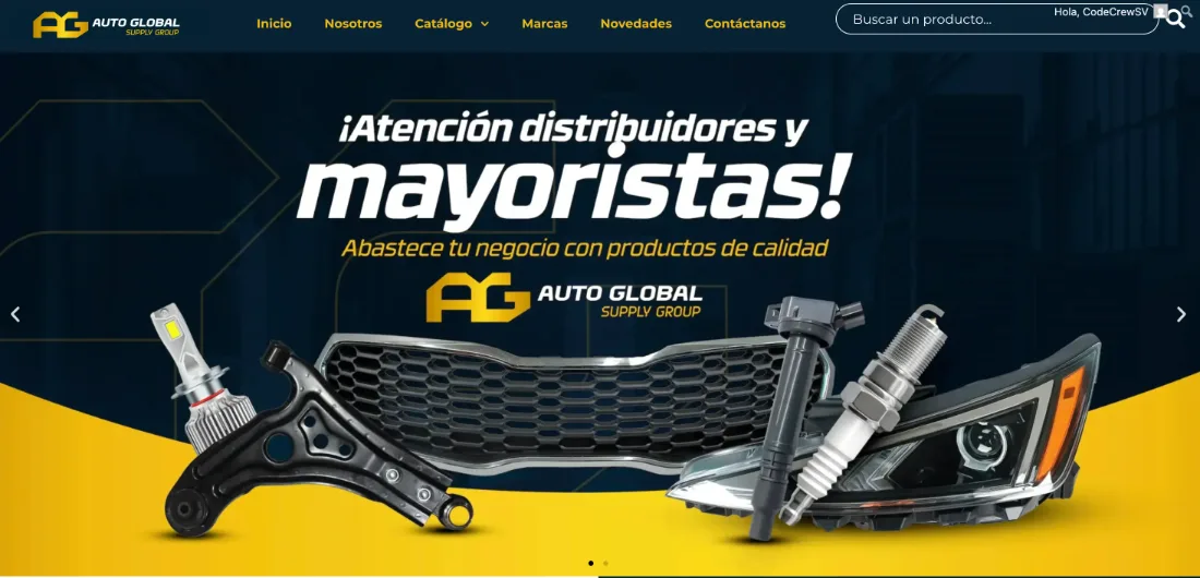 Auto Global Supply Group B2B auto parts store